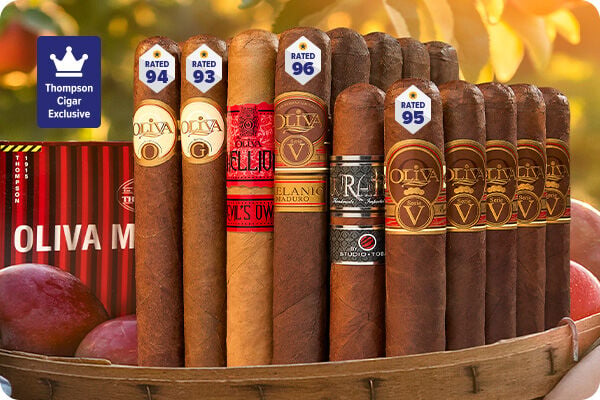 Oliva Mega-Haul - Shop Now