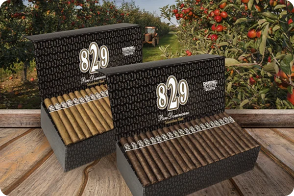 829 Boxes of 100 - Shop Now