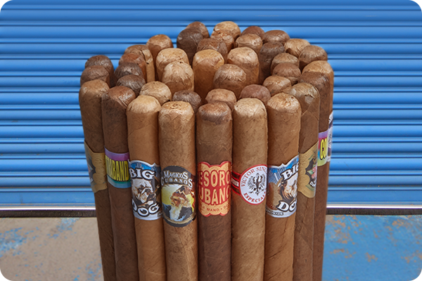 Victor Sinclair Dominican Value Churchill Sampler Homepage Image