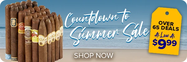 Countdown to Summer Sale Homepage Button