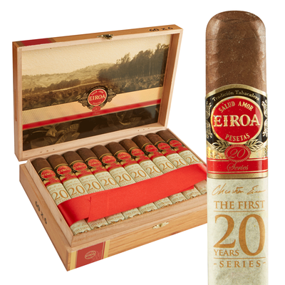 Eiroa The First 20 Years