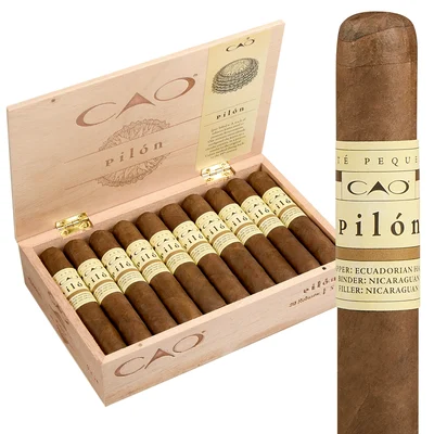 CAO Pilon