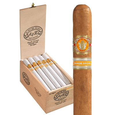 El Rey del Mundo Shade Grown