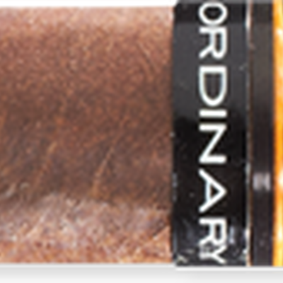 ACID Extra Ordinary Larry