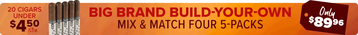 Big Brand You-Build-It Sitewide Banner