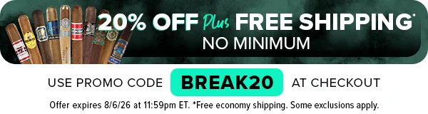 Act Now! 20% Off No Minimum Coupon Sitewide Banner