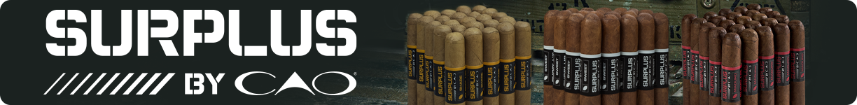 CAO Surplus Category Banner